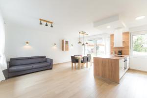 Apartma Gojsa 
