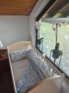 Apartma Župelefski raj 