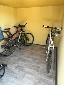 Apartma Anže Samec 