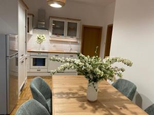 Apartma ROGATEC 