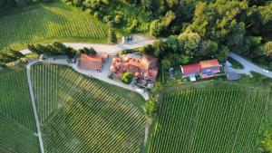 Herga Wine Estate - Nest above wine cellar - rooms 