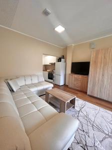 Apartma Alina 