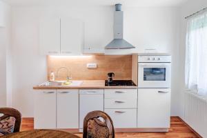 Apartment Pr' Štajercu with Free Onsite Parking 