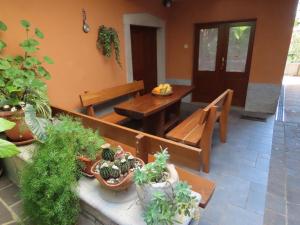 Nedi's Nest - Cozy Countryside Retreat Under Palmtrees 
