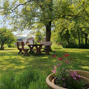 River House Radolca 