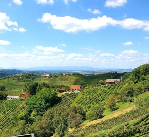 TRUTH WINES HOUSE