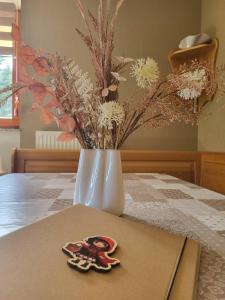 Rogla apartma Rdeča kapica 