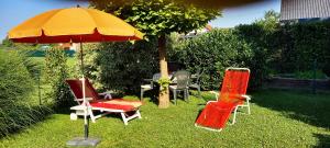 Relax apartma Peter 