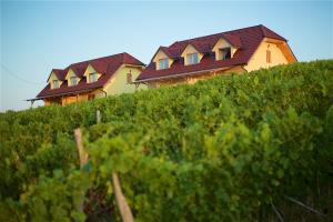 Tourist Farm Apartments Lovrec 