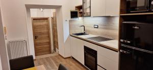 Studio apartment Under the castle 
