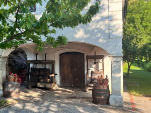 Vineyard cottage Kovačnica 