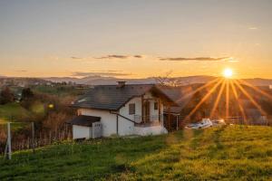Cottage in Novo Mesto 50797 