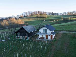 Cottage in Novo Mesto 50797 