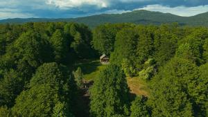 Somova gora chalet in the woods 