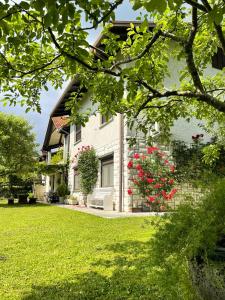 Apartma Savan