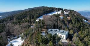 Woodstone 6