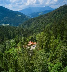 Vista Larix Chalet 