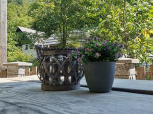 Apartma Bohinj 