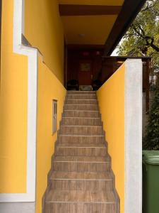 Apartma Brin 