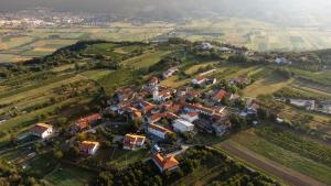 Wellba Homestead Planina 