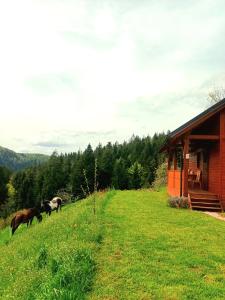 Tiny house