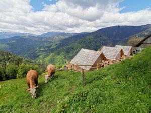 Farmstay&Glamping Visočnik 