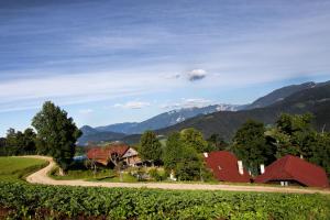Farmstay&Glamping Visočnik 