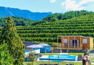 Saxida Wine & Camping Resort Pitches 