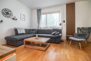 Apartma AS Pohorje 