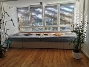Modern apartment Konjice 