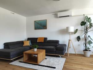 Modern apartment Konjice 