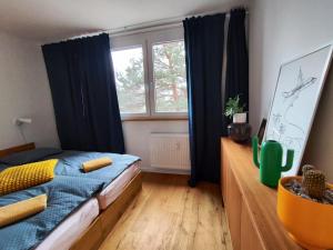 Modern apartment Konjice 