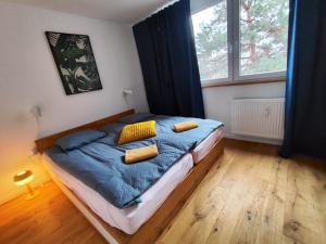 Modern apartment Konjice 