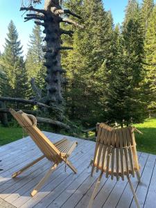 New cosy apartment in nature - Krvavec