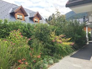 Apartmaji Kranjska Gora 
