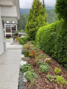 Apartmaji Kranjska Gora 
