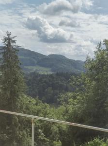 Holidayapartement Sentjur 2 pers 