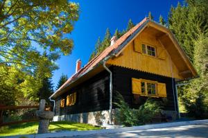 Authentic Pohorje house with riverside outdoor sauna 