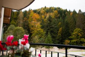 Apartma Rogla Relax 