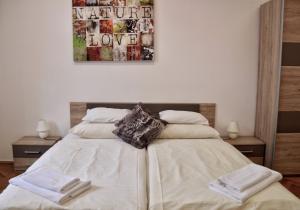 Apartment Trdinova 
