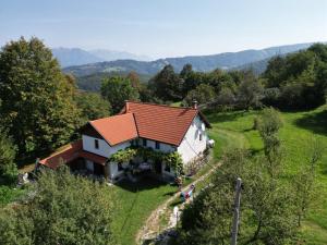 Tolmin Holiday Home 