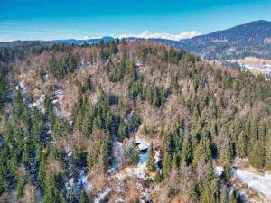 Chalet Slavko 