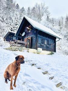 Chalet Slavko 