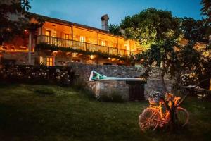 Luxurious Chateau Asa in Sežana