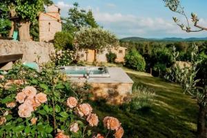 Luxurious Chateau Asa in Sežana 