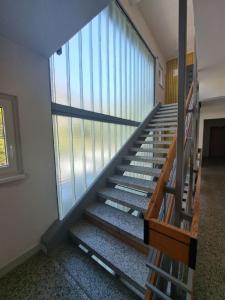 Apartma Misha 