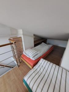 Apartma Misha 
