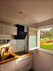 Green view apartment 