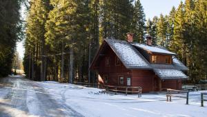 Digital Detox Chalet Pokljuka 
