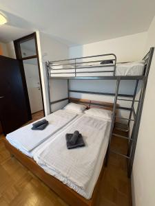 Apartma Lisjak 